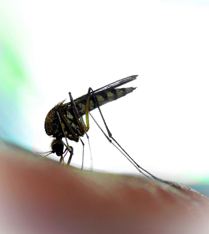 Esri helps Fight Spread of Zika