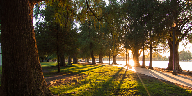 Riverside's Patterson Park to get $7.15 million makeover – Press