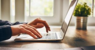 City launches business website