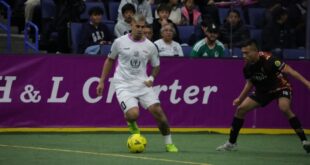 Futsal vs. Arena Soccer: What's the Difference?