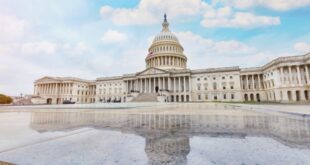 Policies and Politics: Impacts on your business