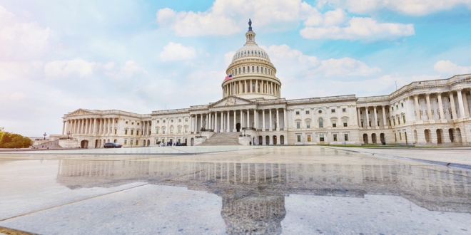 Policies and Politics: Impacts on your business