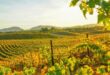 Temecula Valley tourism numbers go up