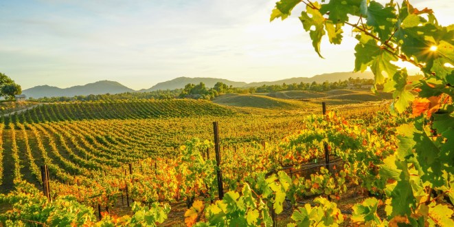 Temecula Valley tourism numbers go up